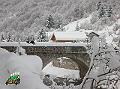 DSCN1203
