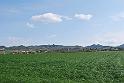 DSC_0074_01