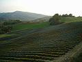 03 Le strade di Coppi - La Lavanda è anche qui