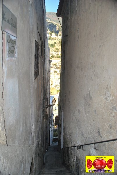 DSC_2065.JPG