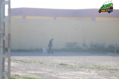 IMGP0554