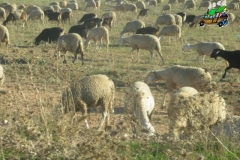 IMGP0572