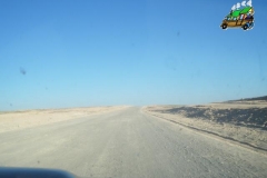 IMGP0585