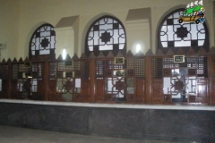 IMGP0732
