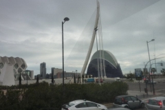 P1010460