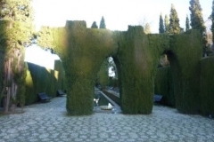 P1010536