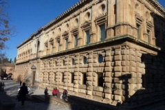 P1010548