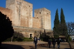 P1010550