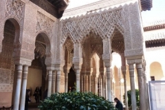 P1010564