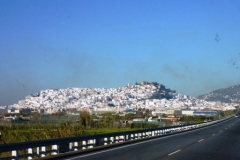 P1010584