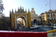 P1010623