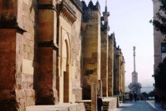 P1010678