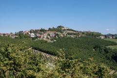barbaresco13-7-19-1-15