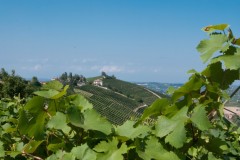barbaresco13-7-19-1-18