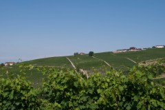 barbaresco13-7-19-1-20