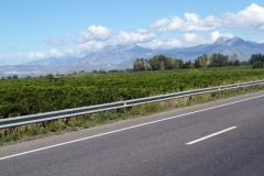 P1010471