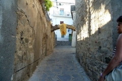 P1010487