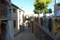 P1010488