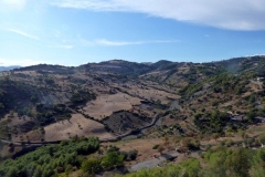P1010490