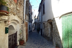 P1010494