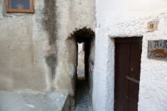P1010497