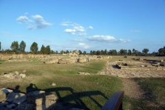 P1010507
