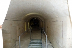 P1010523