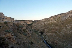 P1010534