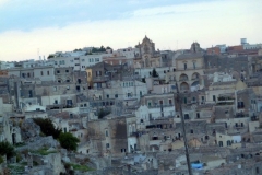 P1010548