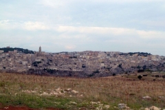 P1010549