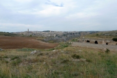P1010551
