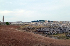 P1010553