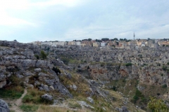 P1010561