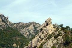 P1010577