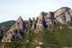 P1010578