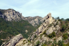 P1010581