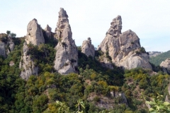 P1010583