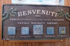 P1010587