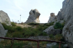 P1010593