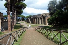 P1010630