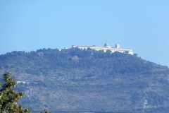 P1010637