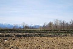Monte-Rosa-dalla-campagna