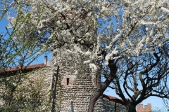 Torre-di-avvistamento