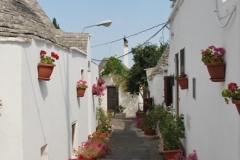 26-8-Alberobello-Castel-Del-Monte-7