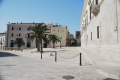 27-8-Trani-1