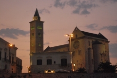 27-8-Trani-15