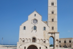 27-8-Trani-7