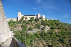 31-8-Spoleto-36