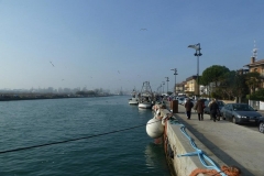 22-Porto-Garibaldi