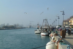 23-Porto-Garibaldi